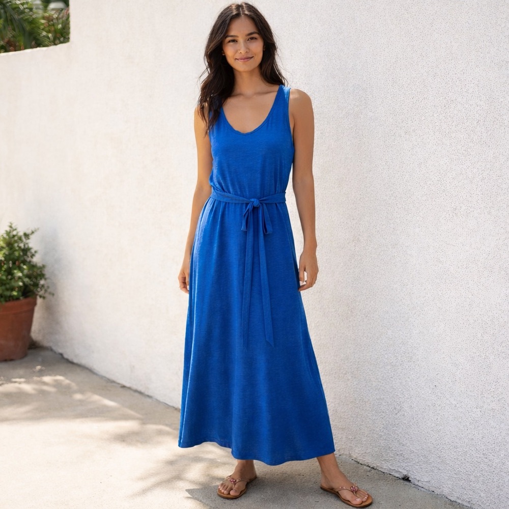 NEW Velvet by Graham & Spencer Camila Dress – Lapis Blue | NWT